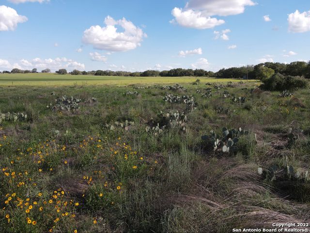 TBD TRACT 6 PR Two A Ln, Poteet, TX 78065