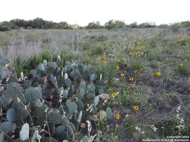 TBD TRACT 6 PR Two A Ln, Poteet, TX 78065