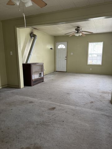 117 Martin St, Mcminnville, TN 37110
