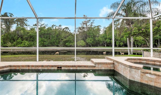 4152 GRANDCHAMP CIRCLE, Palm Harbor, FL 34685
