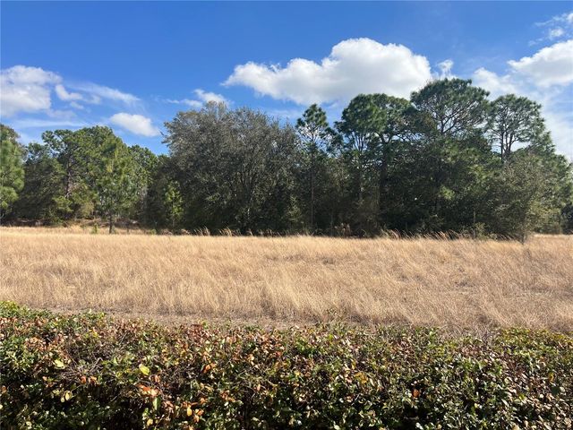 13235 SE 97TH TERRACE ROAD, Summerfield, FL 34491