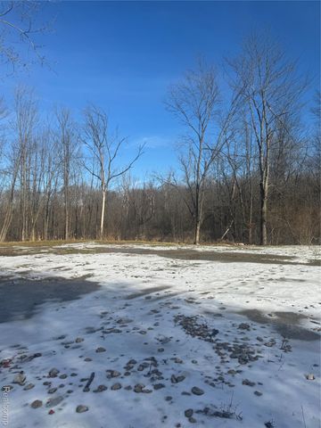 14329 Linder Drive, Holly Township, MI 48442