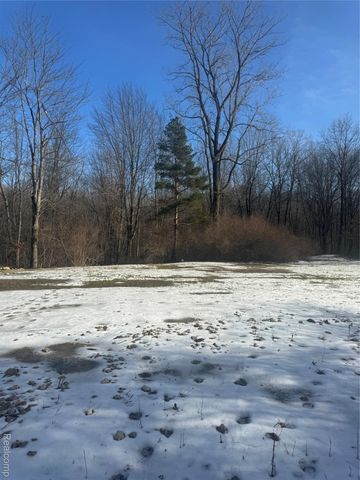 14329 Linder Drive, Holly Township, MI 48442