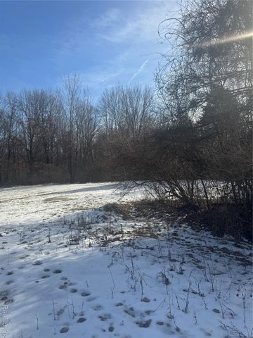 14329 Linder Drive, Holly Township, MI 48442