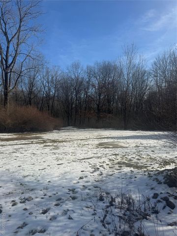 14329 Linder Drive, Holly Township, MI 48442