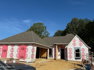 311 Jasmine Cove Lane, Brandon, MS 39042
