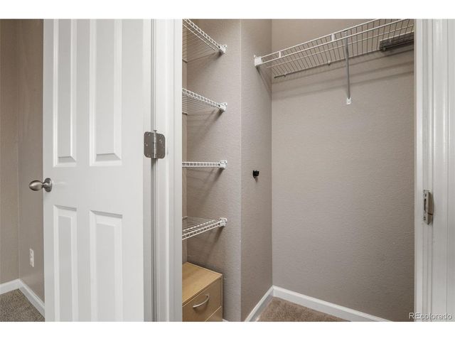 7679 Blue Water Dr, Castle Rock, CO 80108
