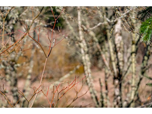 16015 Sw Audubon St 101, Beaverton, OR 97003