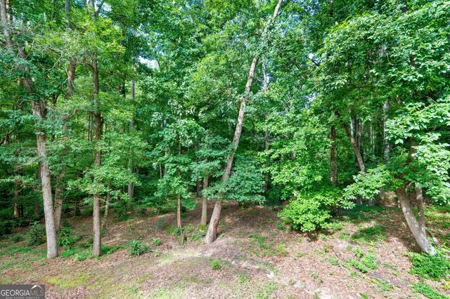1917 Lake Ridge Court, Jonesboro, GA 30236