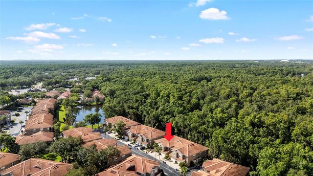 4920 ANNISTON CIRCLE, Tampa, FL 33647
