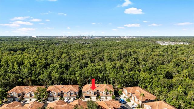 4920 ANNISTON CIRCLE, Tampa, FL 33647