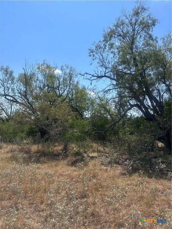 6032 County Road 405, Floresville, TX 78114