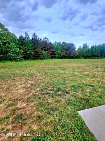 124 Deerfield Trace, Coldwater, MS 38618