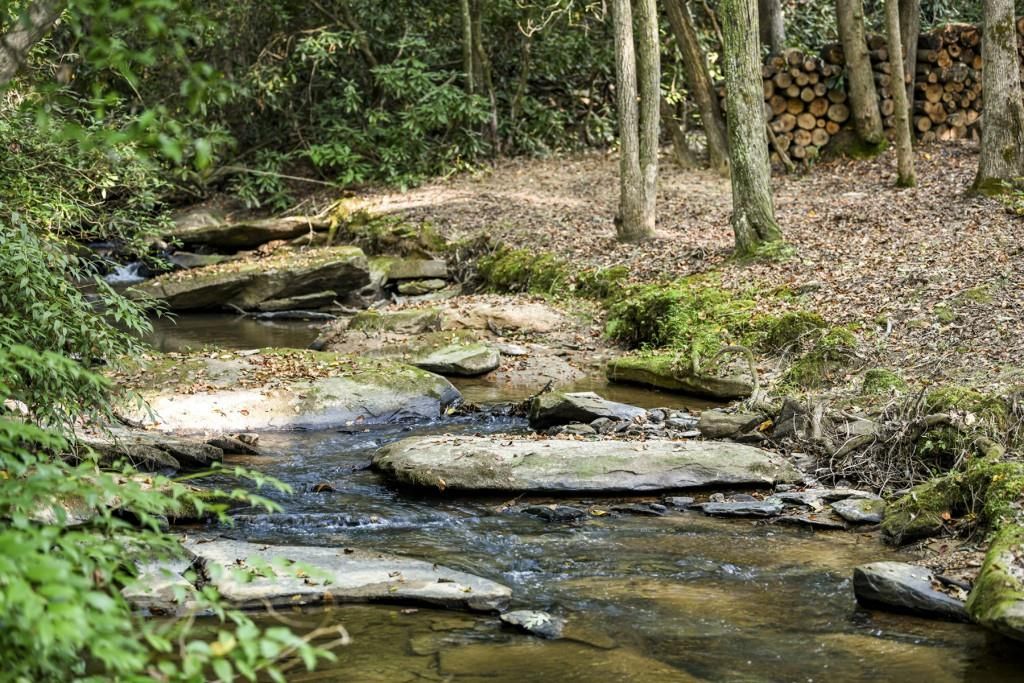 0 Evergreen Lane, Mineral Bluff, GA 30559