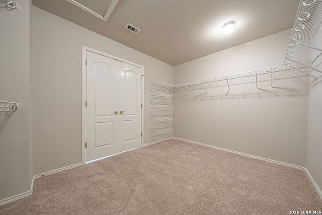 4302 Somerville Bay, San Antonio, TX 78244