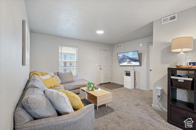 67 W 600 S #B204, Springville, UT 84663