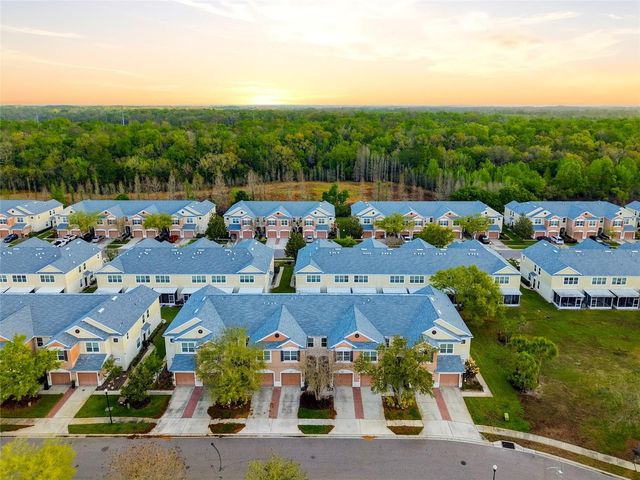 26611 CHIMNEY SPIRE LANE, Wesley Chapel, FL 33544