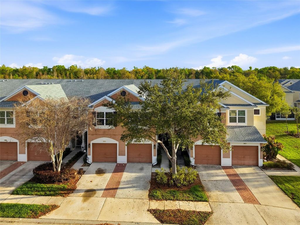 26611 CHIMNEY SPIRE LANE, Wesley Chapel, FL 33544