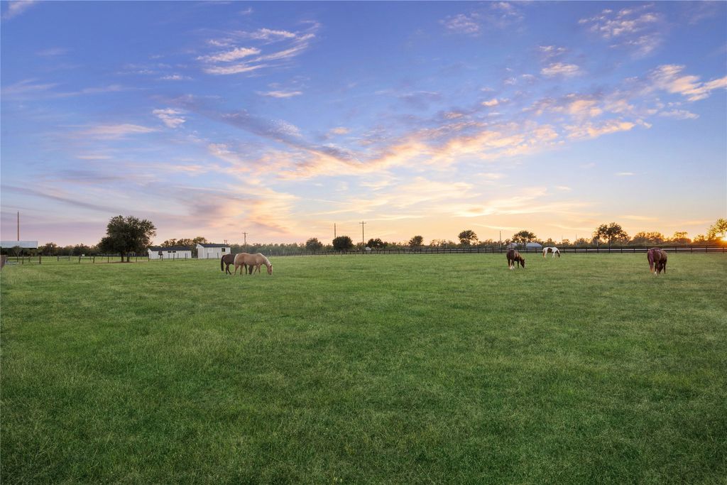 40570 Wild life Run, Hempstead, TX 77445