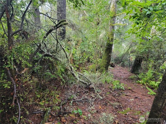 1543 Dicks Lane, Westport, WA 98595