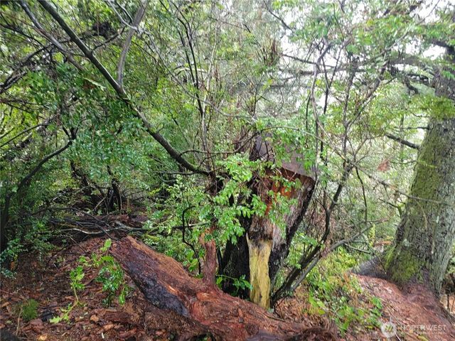 1543 Dicks Lane, Westport, WA 98595