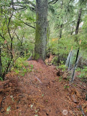 1543 Dicks Lane, Westport, WA 98595