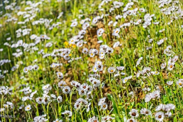 143 Lakeside Drive, Butler, TN 37640