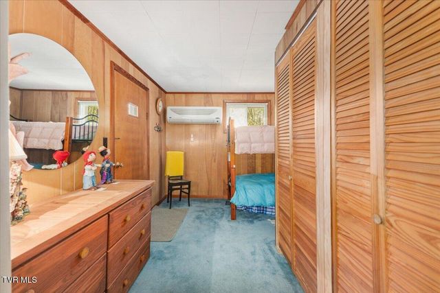 143 Lakeside Drive, Butler, TN 37640