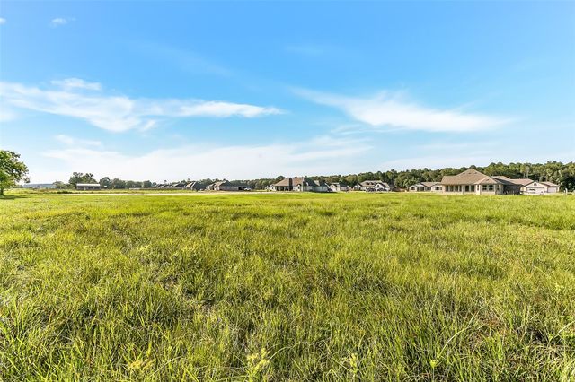 441 Barton Place Drive, Tarkington, TX 77327