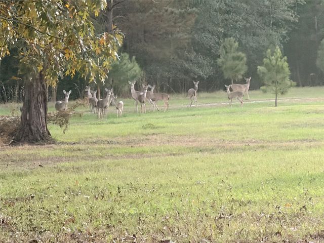 10227 County Road 4101, Frankston, TX 75763