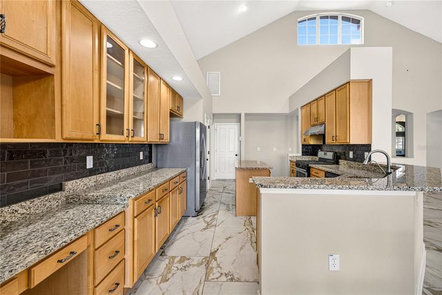 16339 IVY LAKE DRIVE, Odessa, FL 33556