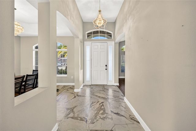16339 IVY LAKE DRIVE, Odessa, FL 33556