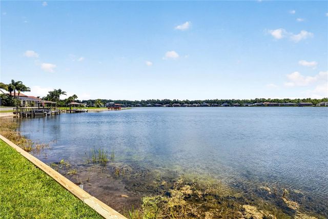 16339 IVY LAKE DRIVE, Odessa, FL 33556
