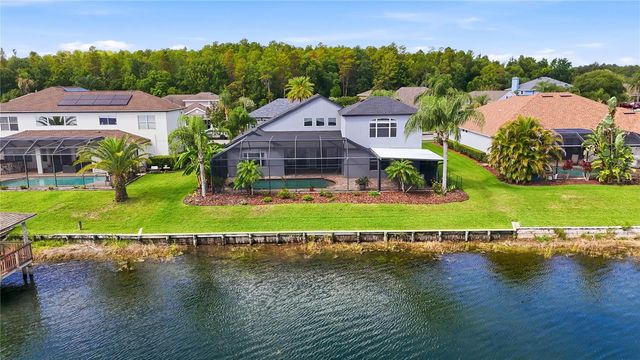16339 IVY LAKE DRIVE, Odessa, FL 33556