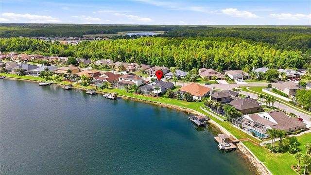 16339 IVY LAKE DRIVE, Odessa, FL 33556