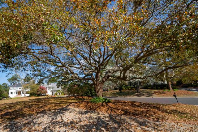 58 Mallet Hill Court, Columbia, SC 29223