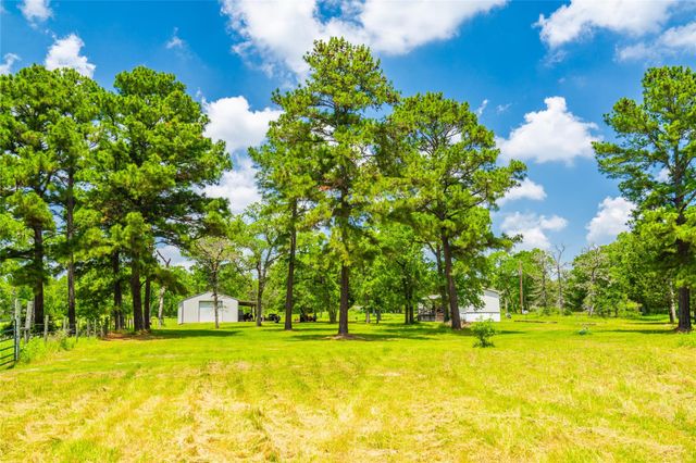 677 Old Antioch RD, Smithville, TX 78957