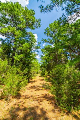 677 Old Antioch RD, Smithville, TX 78957