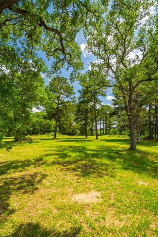 677 Old Antioch RD, Smithville, TX 78957