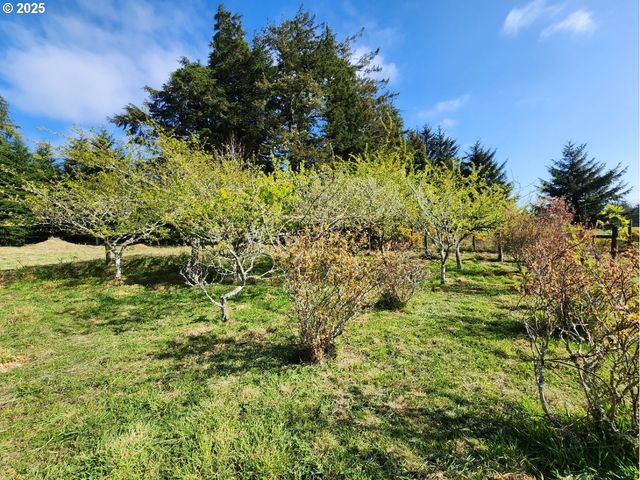 92920 CAPE BLANCO Rd, Sixes, OR 97476