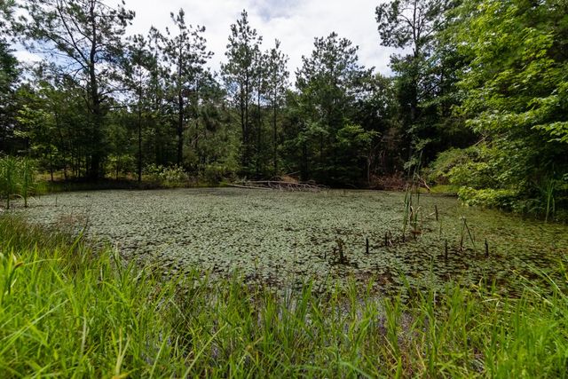 7636 Liberty Rd, Scotts Hill, TN 38374