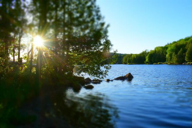 402 Daniels Pond Road, Glover, VT 05875