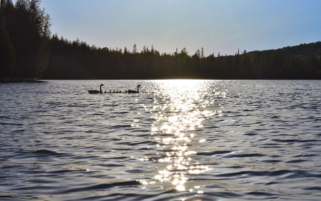 402 Daniels Pond Road, Glover, VT 05875