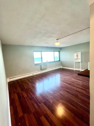 7337 S South Shore Drive 529, Chicago, IL 60649