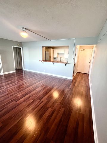 7337 S South Shore Drive 529, Chicago, IL 60649