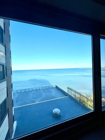 7337 S South Shore Drive 529, Chicago, IL 60649