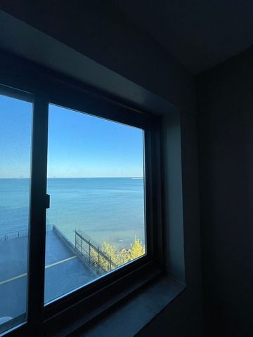 7337 S South Shore Drive 529, Chicago, IL 60649