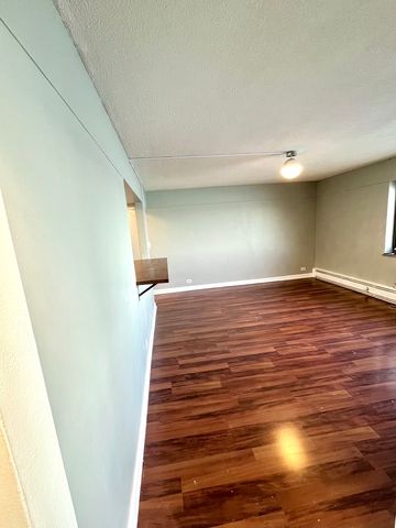 7337 S South Shore Drive 529, Chicago, IL 60649