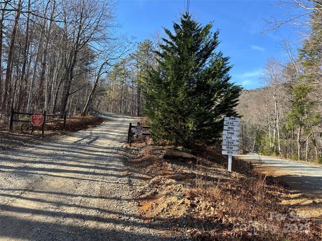 0 Judes Gap Road 3, Mill Spring, NC 28756