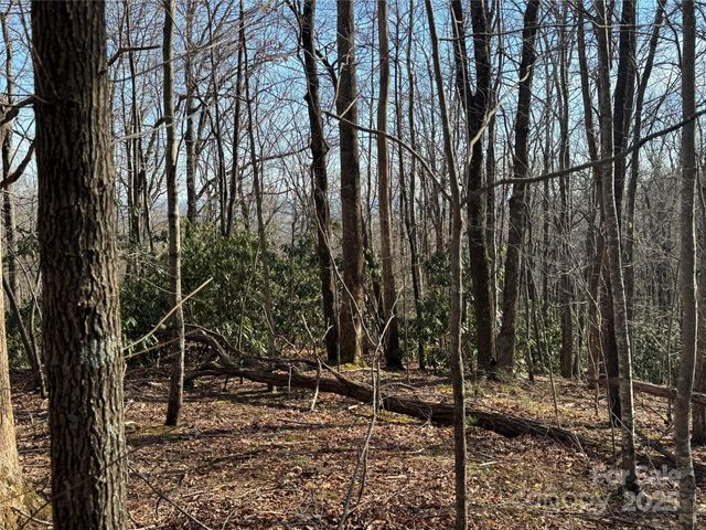 0 Judes Gap Road 3, Mill Spring, NC 28756